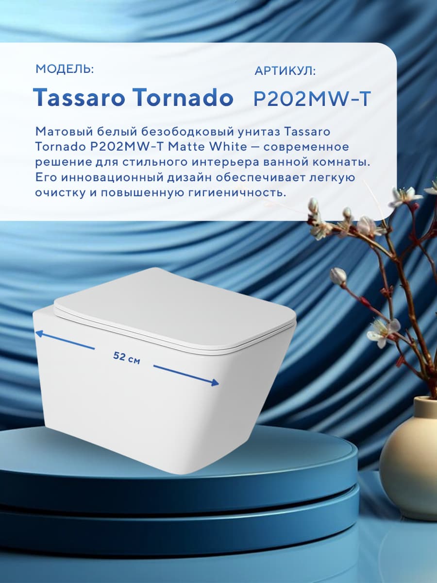 Комплект инсталляции Amore di Mare QuickFit 50114 с унитазом Tassaro Tornado P202MW-T Matte White с кнопкой 814CH 7 в 1, Италия - миниатюра 3